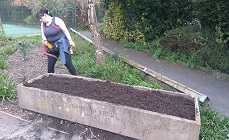 Volunteering to care for the environment